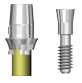 Picture of 4.3 Platform Abutment (BlueSkyBio.com)